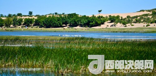 阿魯科爾沁保護區(qū)濕地沙丘。吳勇攝