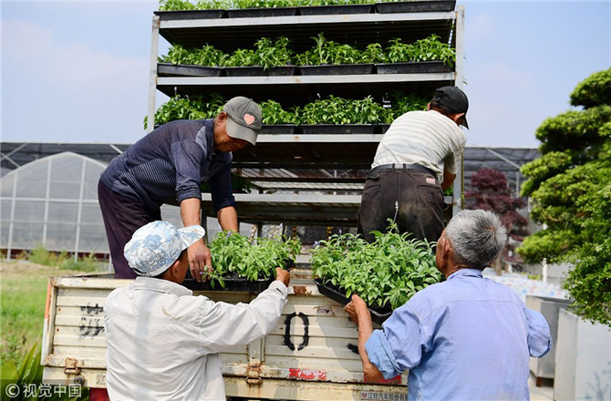 數(shù)字經(jīng)濟(jì)已經(jīng)成為我國(guó)經(jīng)濟(jì)社會(huì)更好發(fā)展的重要推動(dòng)力，也為我國(guó)鄉(xiāng)村發(fā)展提供了新的歷史機(jī)遇。（圖片來源：視覺中國(guó)）
