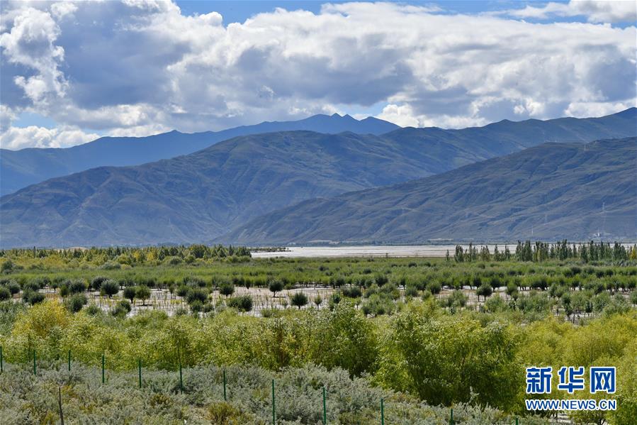 （圖文互動）（4）“今天的生活，就像夢里夢到那樣甜”——寫在西藏百萬農奴解放61周年之際