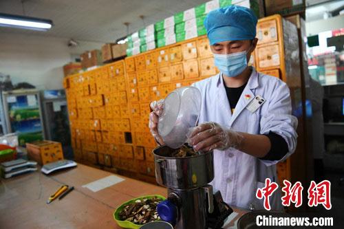 疫情發(fā)生以來(lái)，甘肅確保所有病例盡早、及時(shí)、全程使用中醫(yī)中藥，努力做到“一患一方案”。(資料圖) 楊艷敏 攝