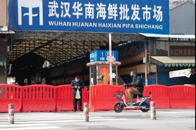 a2 å°é-çååæμ·é2å¸åoãæ￥æoï¼æ°åç¤¾