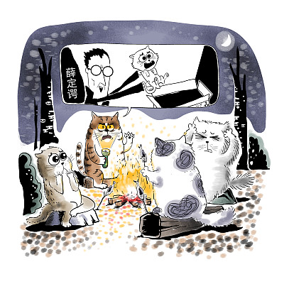 ▲物理學家薛定諤曾用一只貓比喻量子疊加。圖片來源：視覺中國