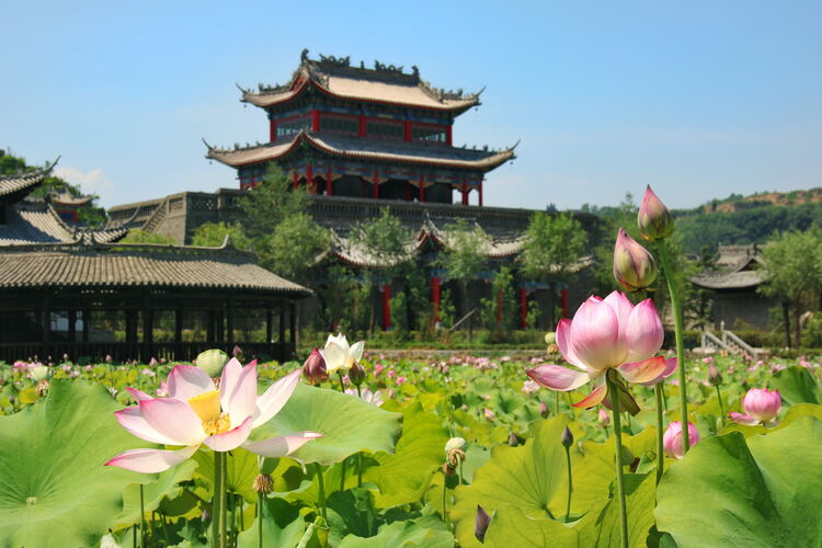 【云游渭南】心中若有桃花源，此處便是水云間！待疫情散盡，一起來渭南桃花源賞美景、觀民俗、享美食_fororder_2